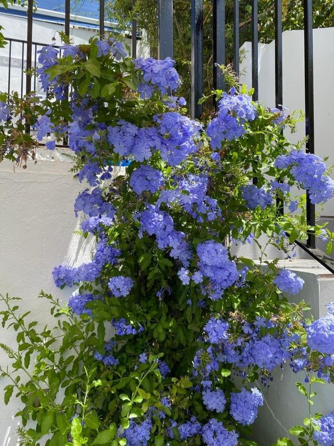 Stunning Home Benamahoma 4 Bed - Sierra Grazalema ภายนอก รูปภาพ