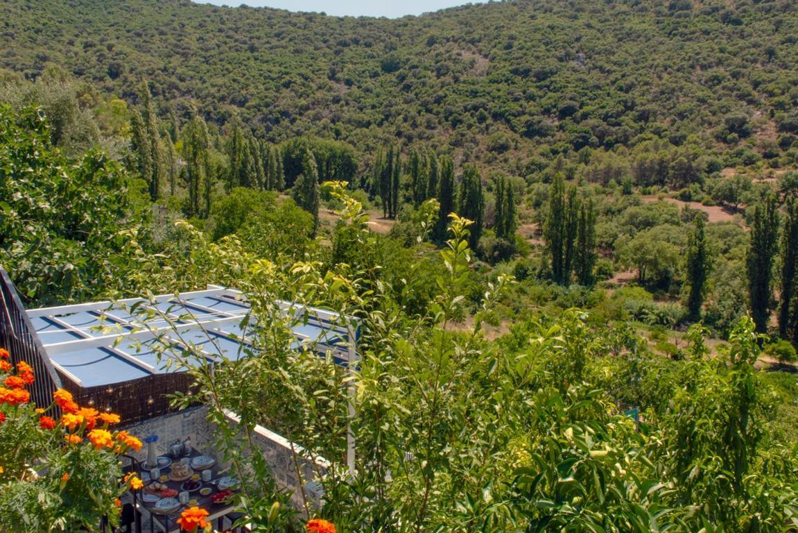 Stunning Home Benamahoma 4 Bed - Sierra Grazalema ภายนอก รูปภาพ